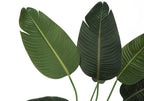 Close-up of large, textured green leaves of an artificial Bird of Paradise plant against a white background.