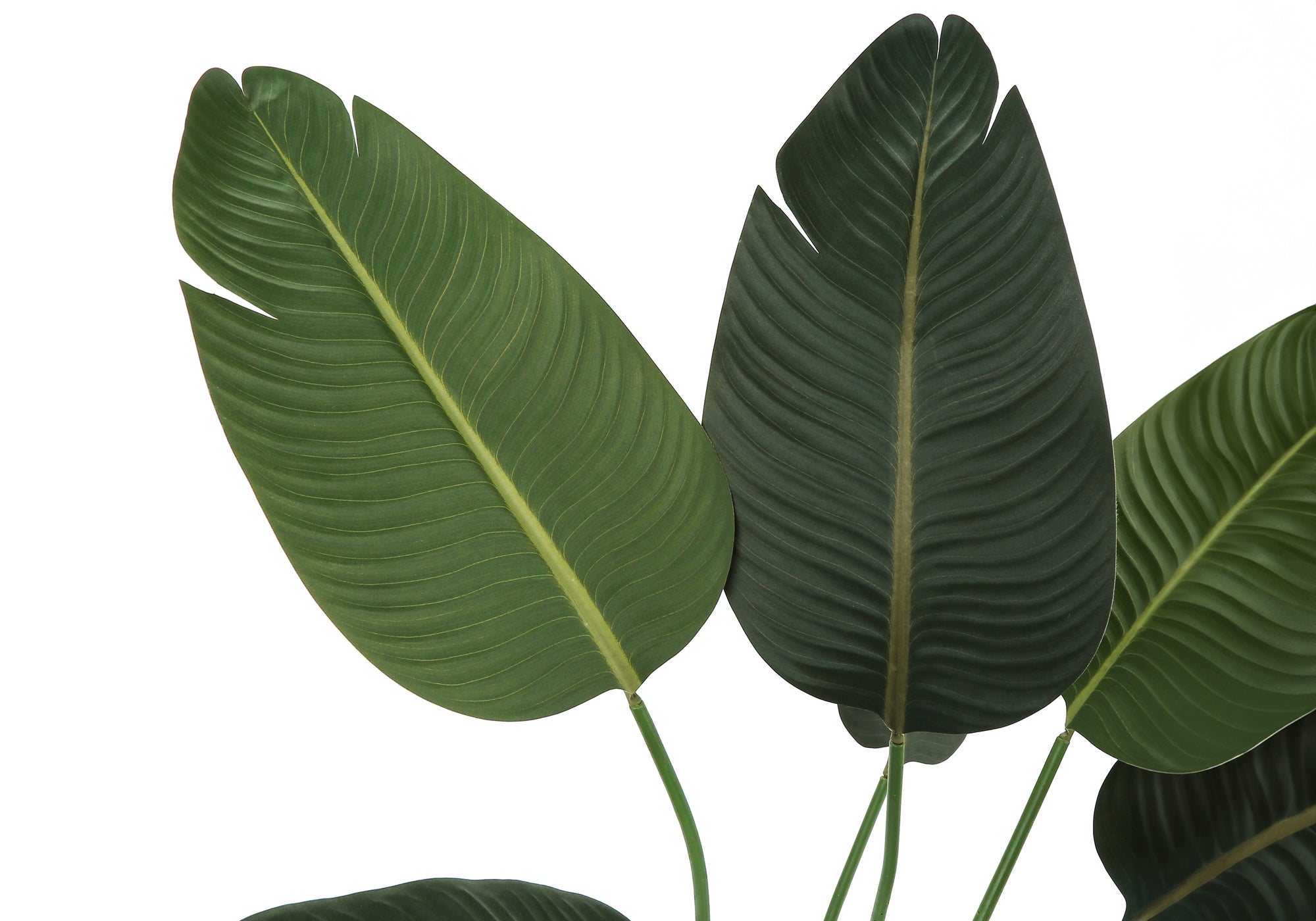 Close-up of large, textured green leaves of an artificial Bird of Paradise plant against a white background.