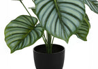 Close-up of a faux Calathea Orbifolia with large, striped green leaves in a simple black pot against a white background.