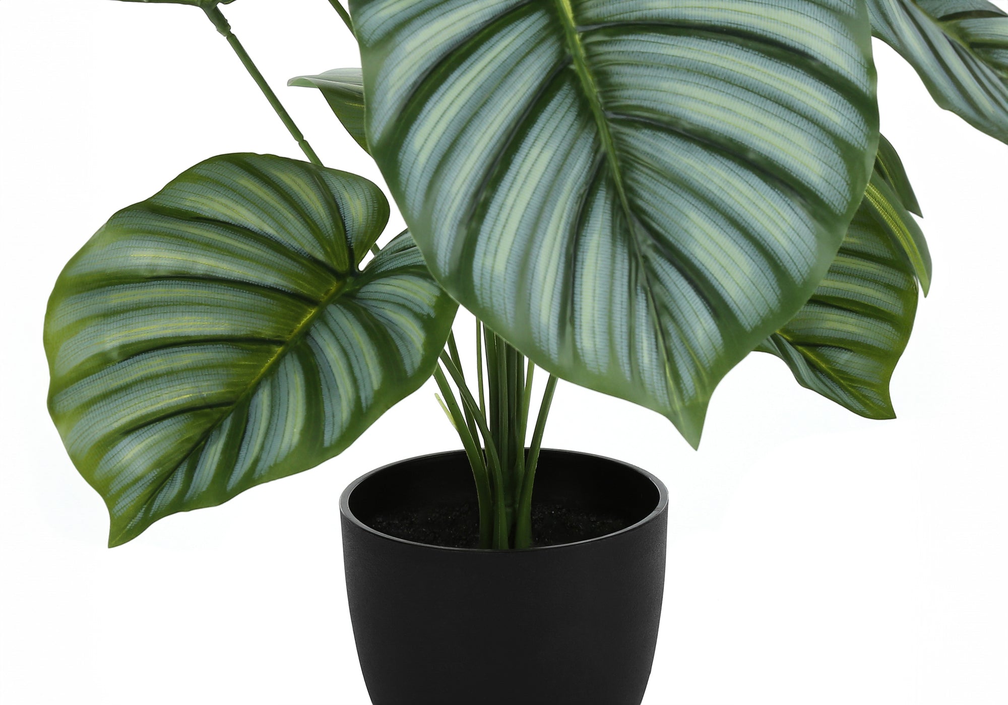 Close-up of a faux Calathea Orbifolia with large, striped green leaves in a simple black pot against a white background.