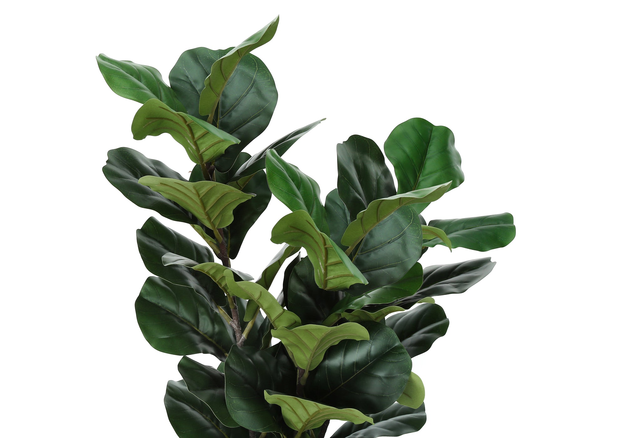 Close-up of an artificial fiddle leaf fig bush with large, glossy, dark green leaves against a white background.