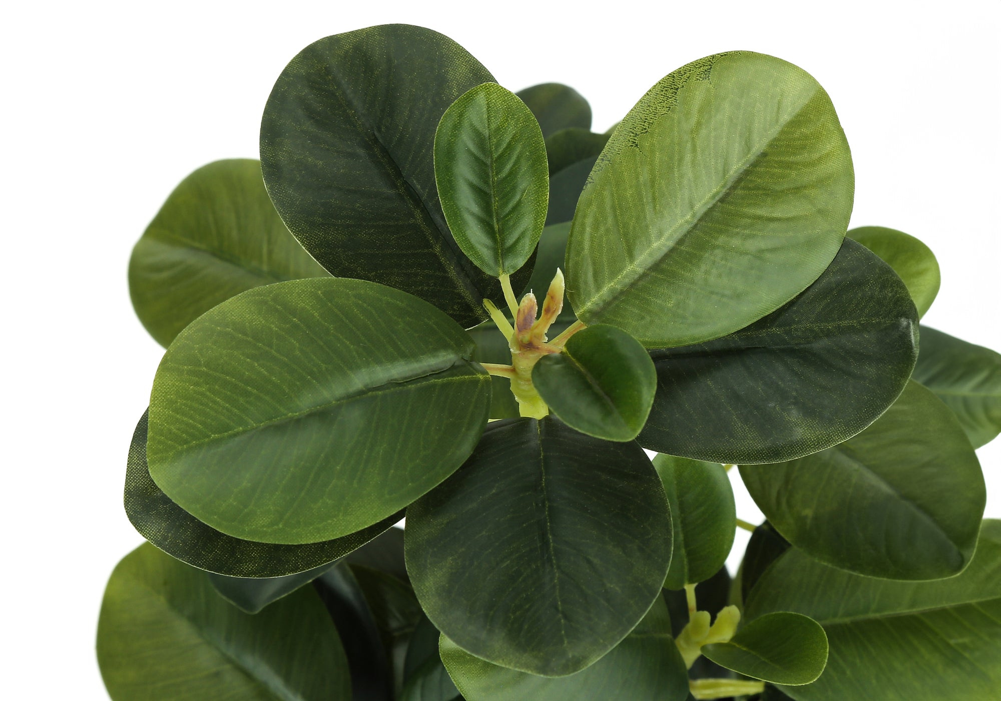 Close-up view of the lush, dark green leaves of an artificial baby rubber plant against a white background.