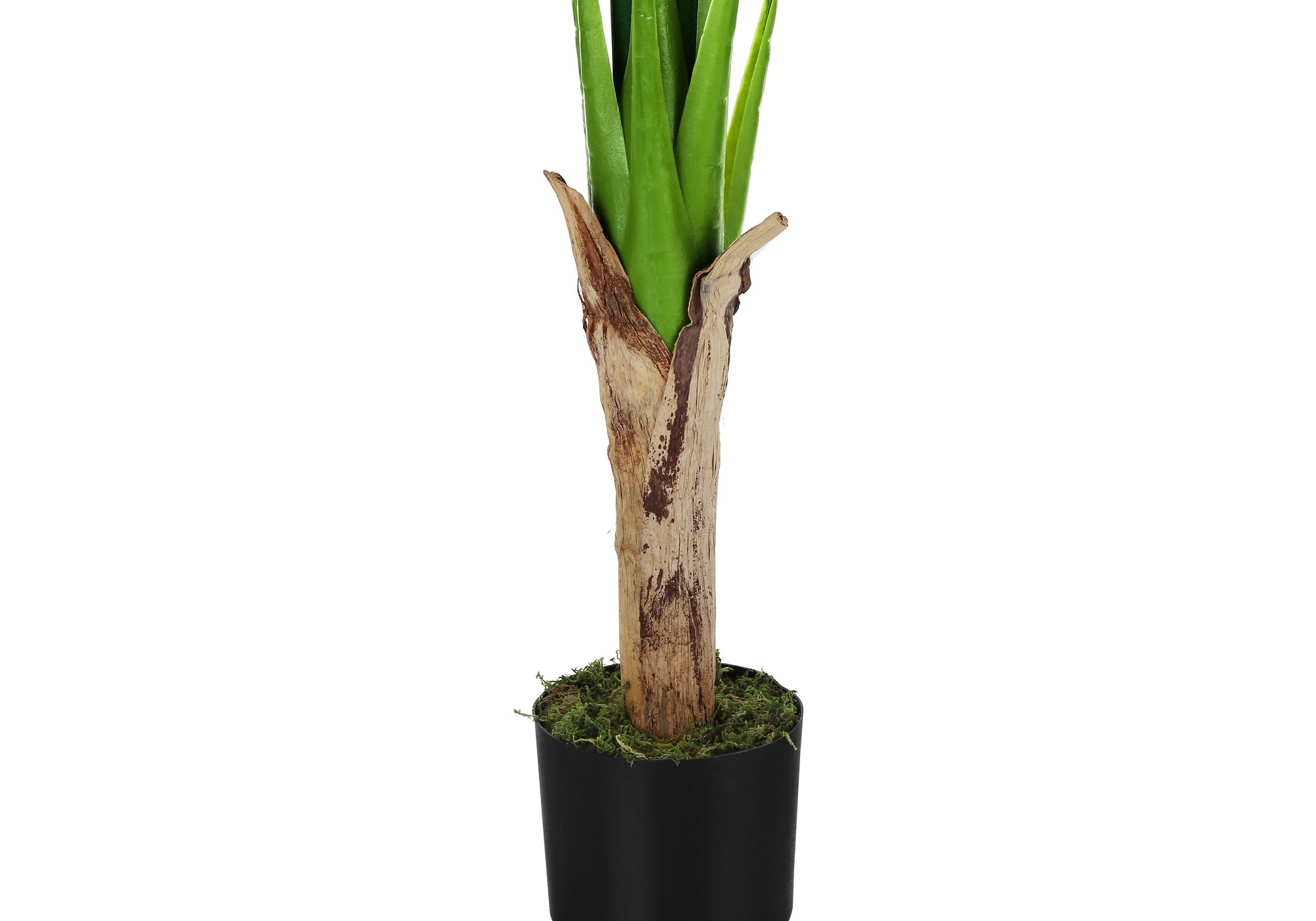 Close-up of the textured trunk and green stems of an artificial banana tree in a black pot with moss.