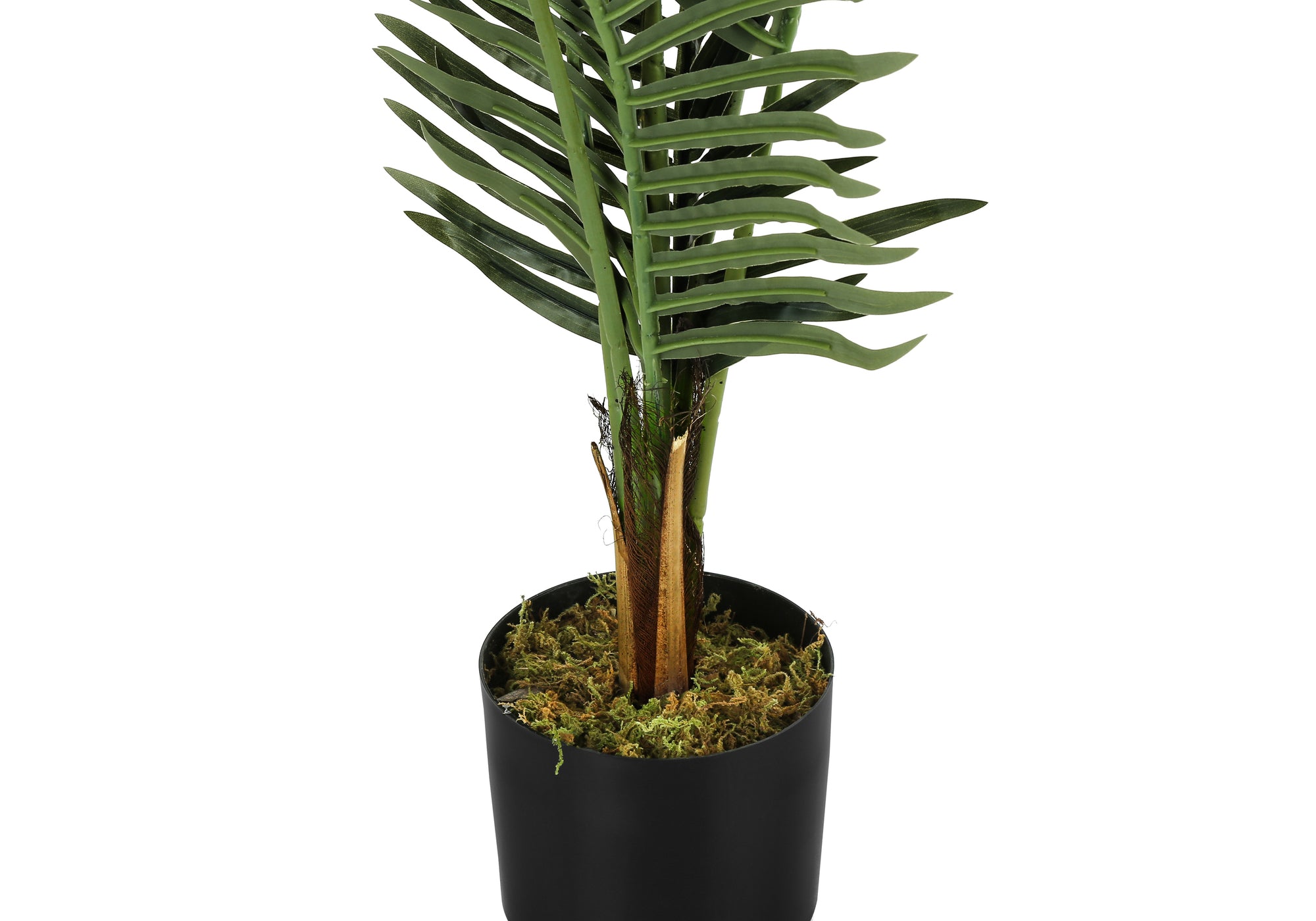 A close-up of an artificial Majesty Palm tree in a black pot with moss covering the base against a white background.