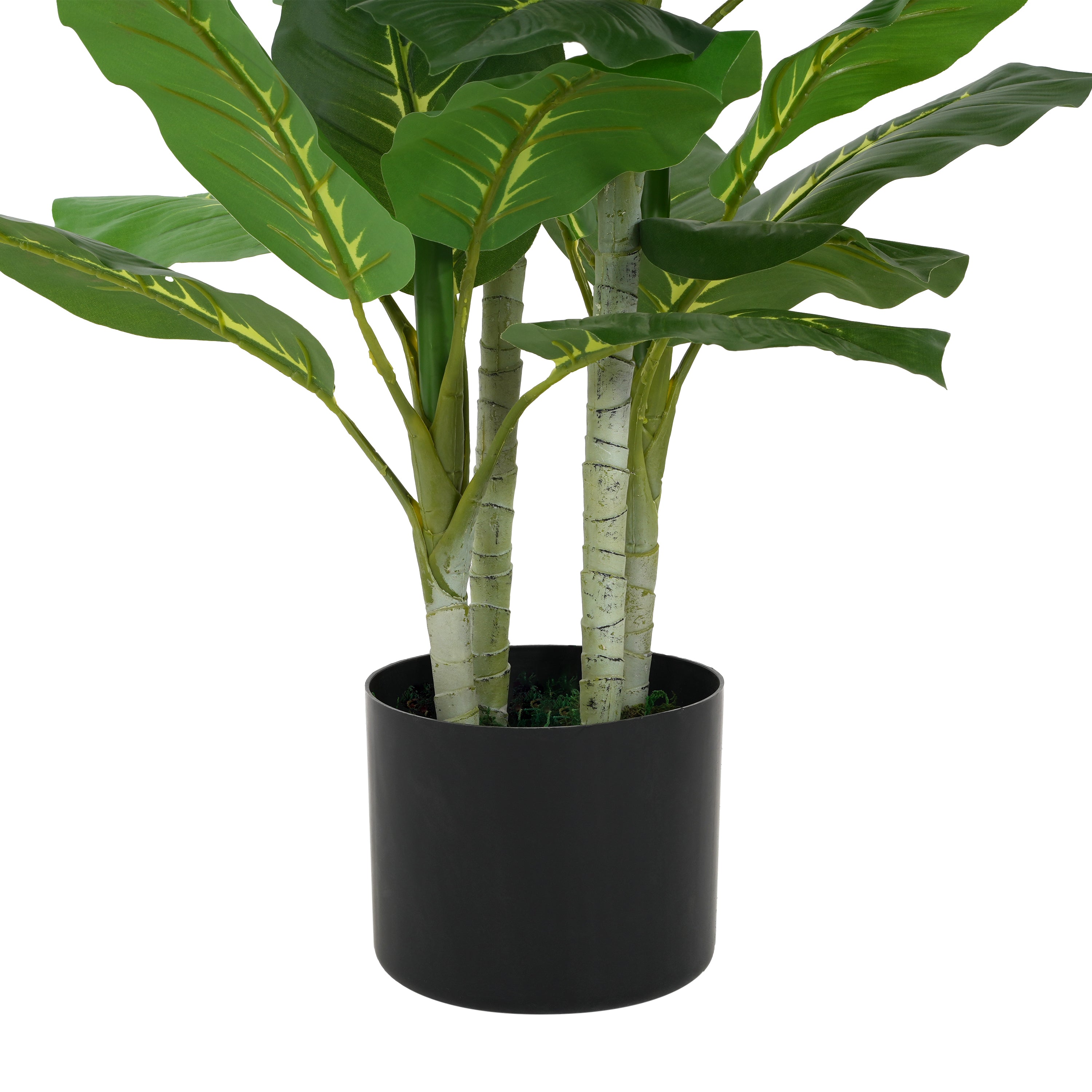 Artificial Dieffenbachia plant with broad, patterned green leaves in a simple black cylindrical pot.