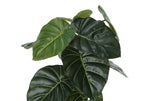 Close-up of the large, dark green leaves with prominent veins on an artificial Alocasia plant.