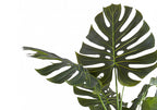 Close-up of the large, green split-leaves of an artificial Monstera plant against a white background.