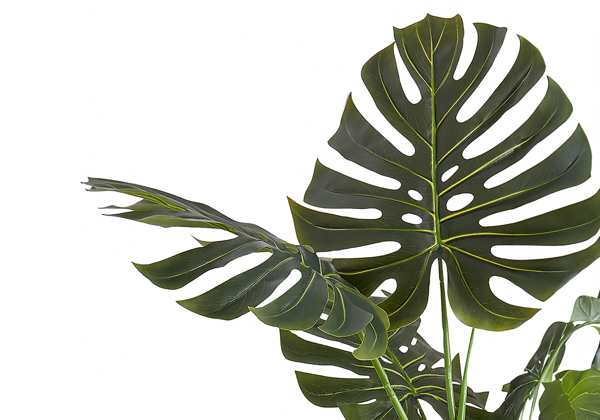 Close-up of the large, green split-leaves of an artificial Monstera plant against a white background.