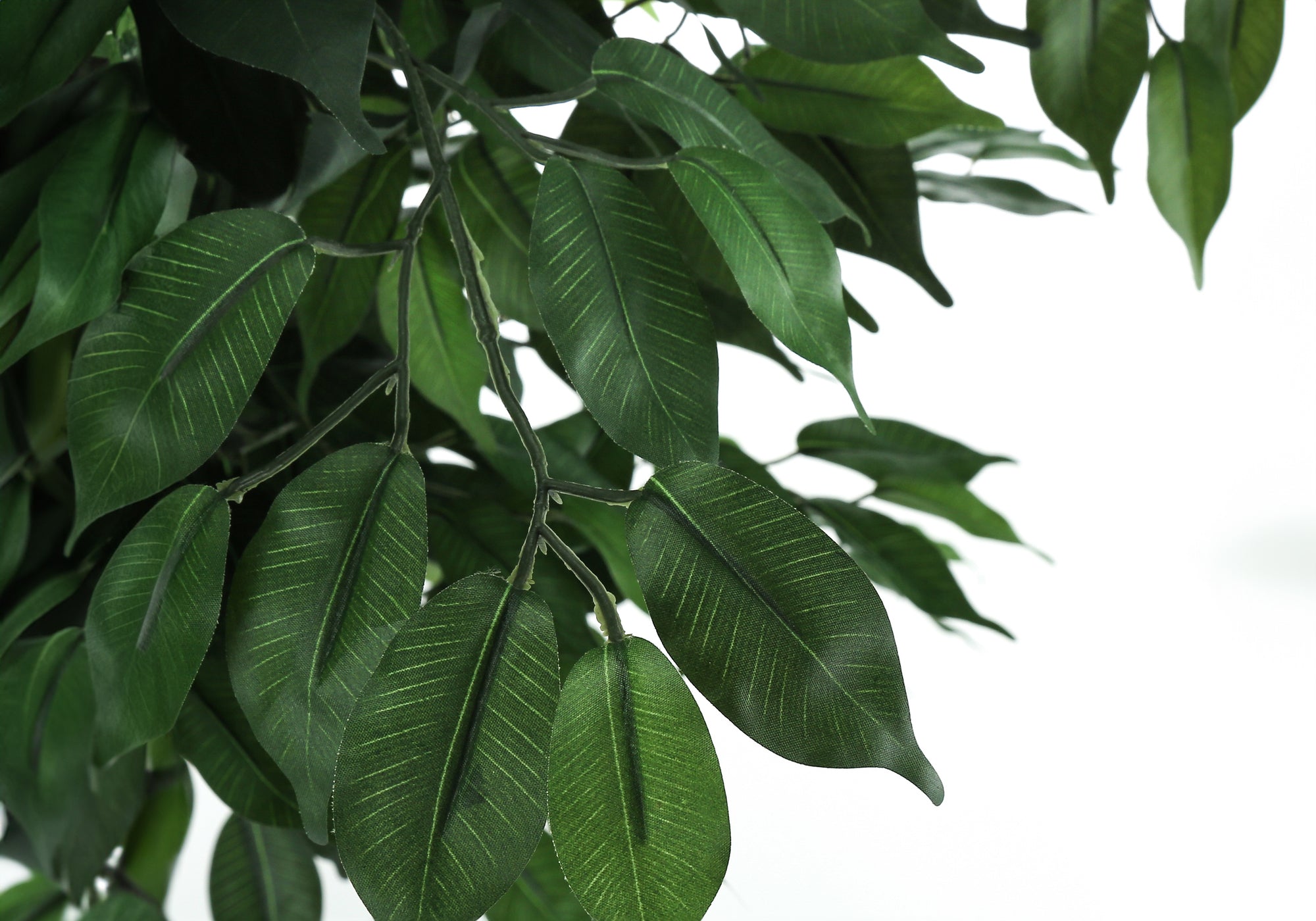 Close-up of the textured green leaves and thin branches of an artificial Large Ficus Tree against a white background.