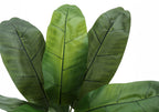 Close-up of the broad, textured green leaves of an artificial banana tree against a white background.