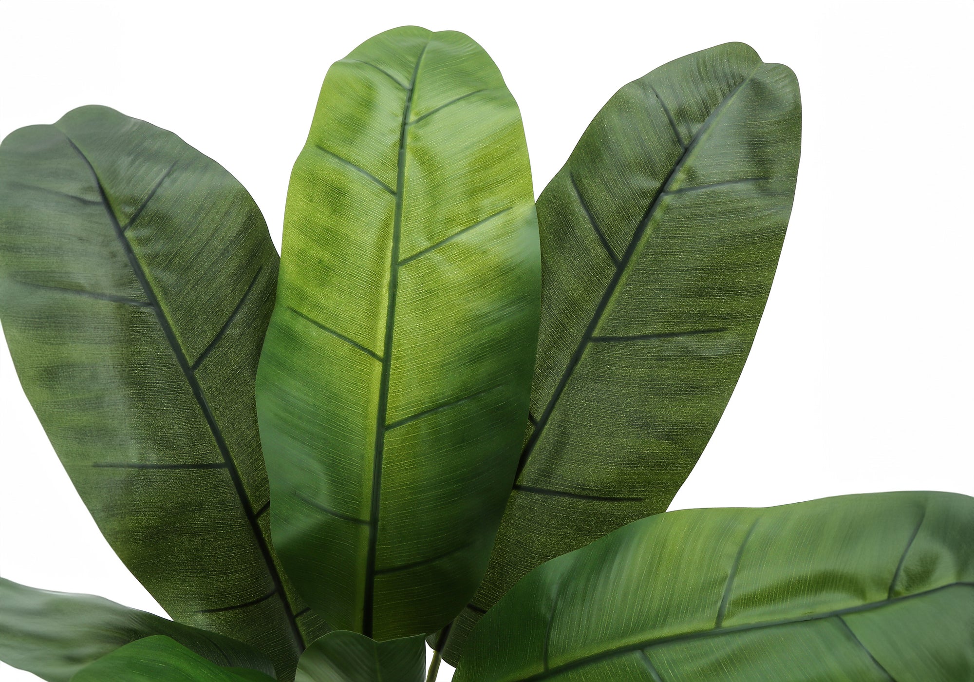 Close-up of the broad, textured green leaves of an artificial banana tree against a white background.