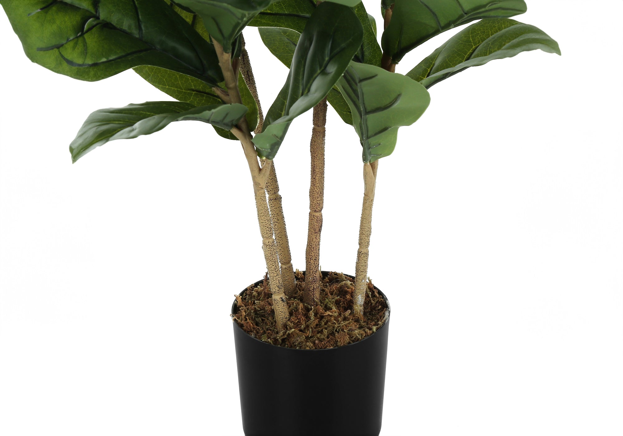 Close-up of an artificial fiddle leaf fig bush with multiple stems in a simple black pot topped with faux moss.
