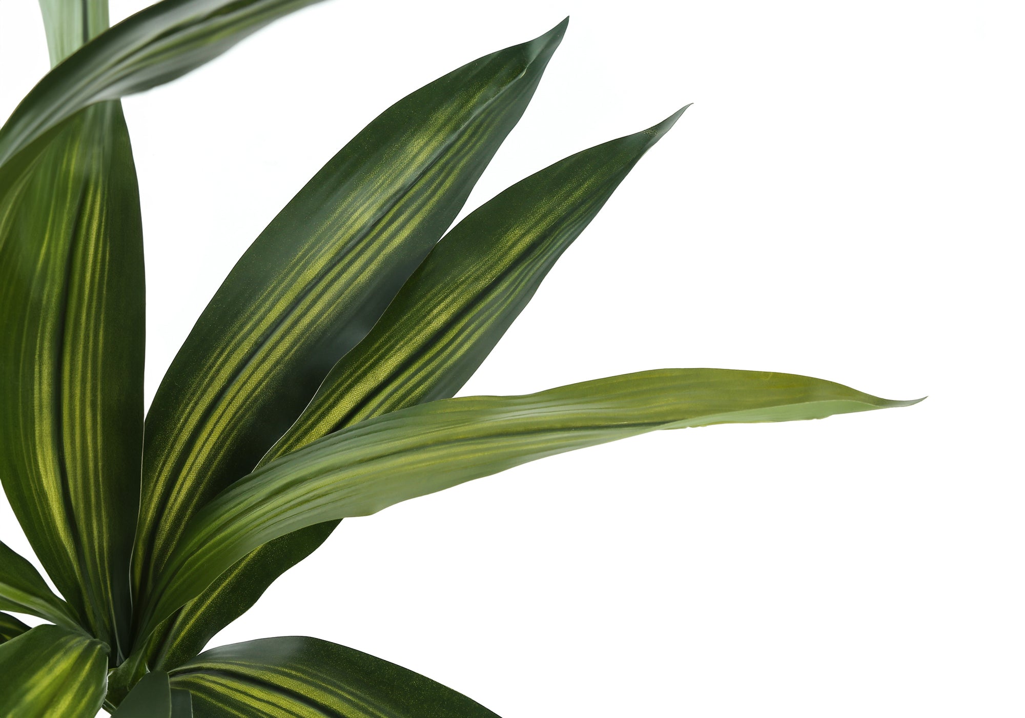 Close-up of long, pointed green leaves with yellow variegated stripes on an artificial Dracaena tree.