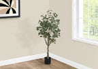 A tall artificial eucalyptus tree in a black pot stands in the corner of a room near a window and framed wall art.