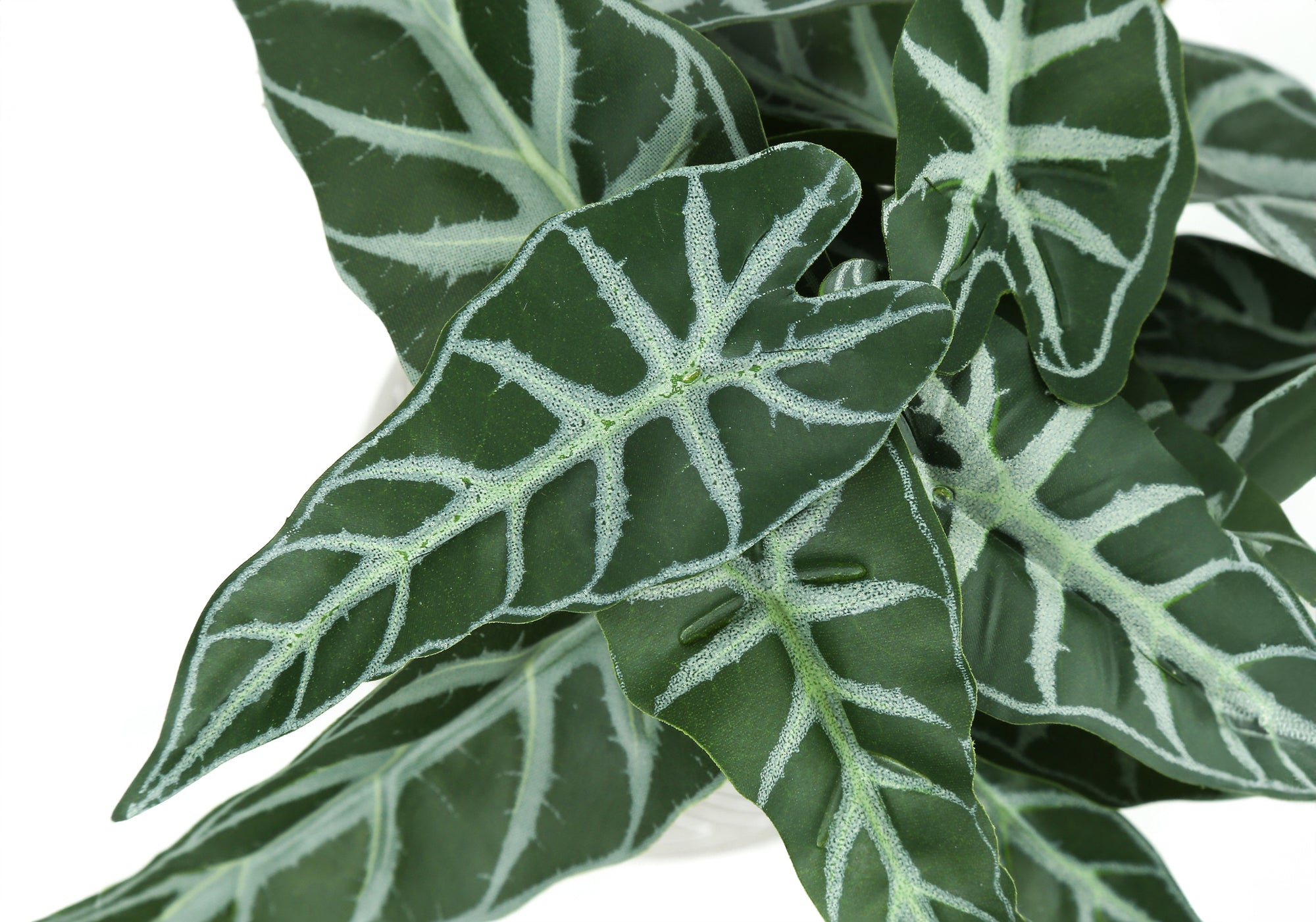 Close-up of artificial Alocasia Amazonica leaves featuring dark green foliage with prominent white veining.