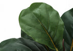 Close-up of the textured green leaves of an artificial fiddle leaf fig bush against a white background.
