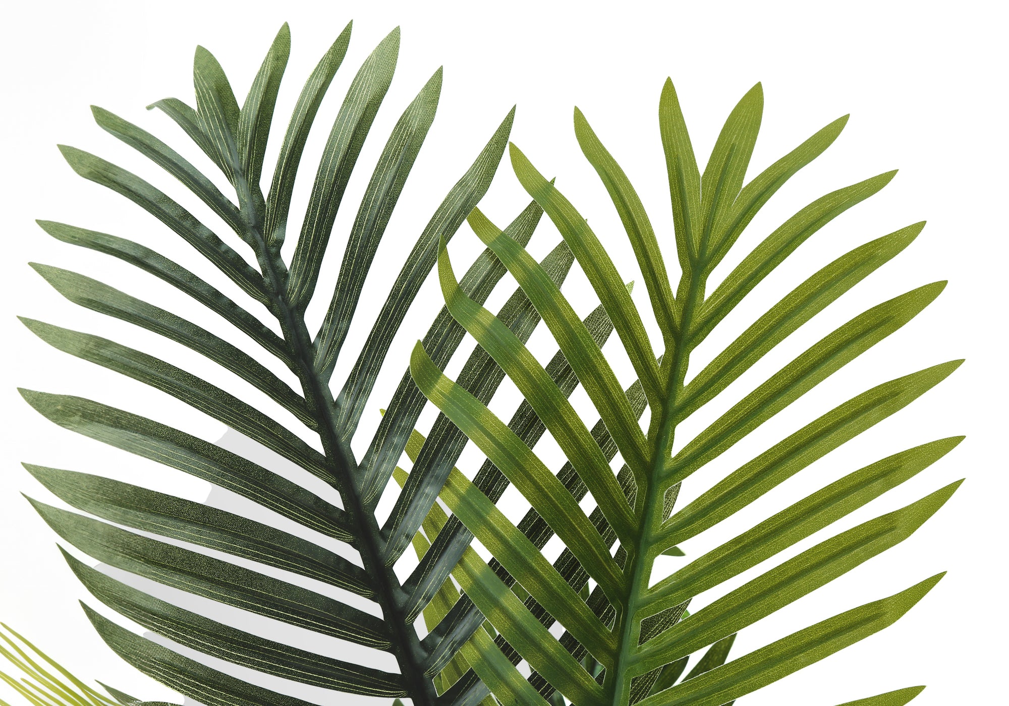 Close-up of two artificial Areca palm fronds with detailed green leaves against a plain white background.