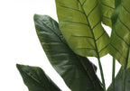 Close-up of large, green, artificial Bird of Paradise leaves with visible veins against a white background.