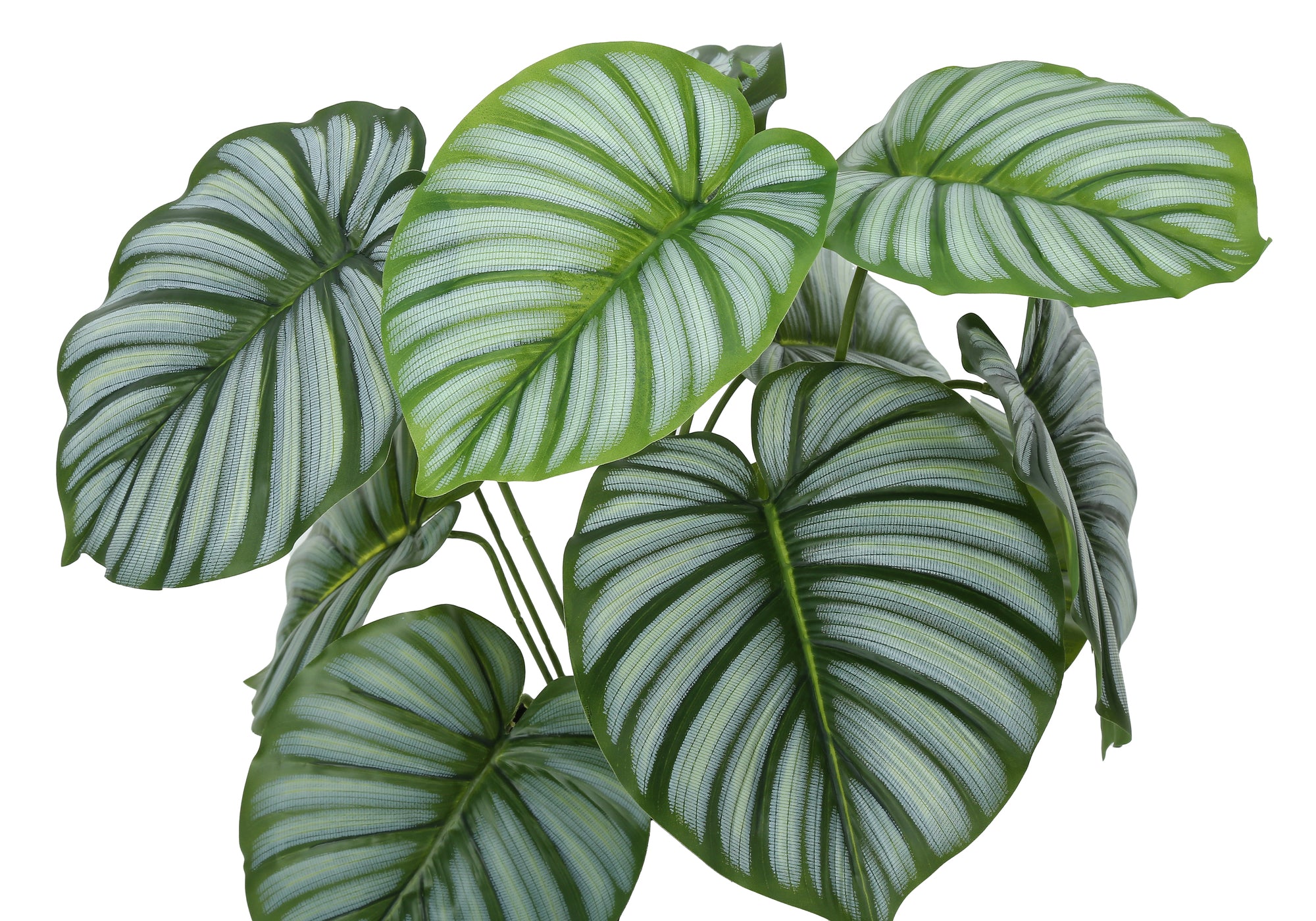 Artificial Calathea Orbifolia plant with large, rounded green leaves featuring distinct silver-white striping.