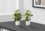 Two small artificial baby rubber plants in speckled white pots sitting on a dark grey surface near a window.