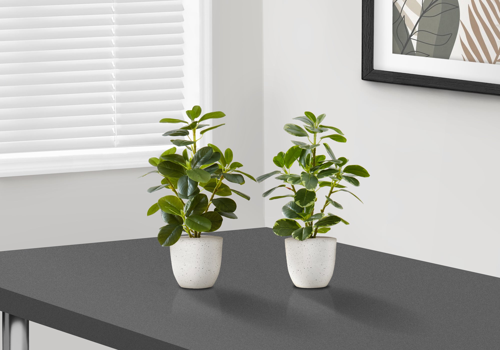 Two small artificial baby rubber plants in speckled white pots sitting on a dark grey surface near a window.