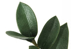 Close-up of the textured, dark green leaves of an artificial ZZ plant against a plain white background.