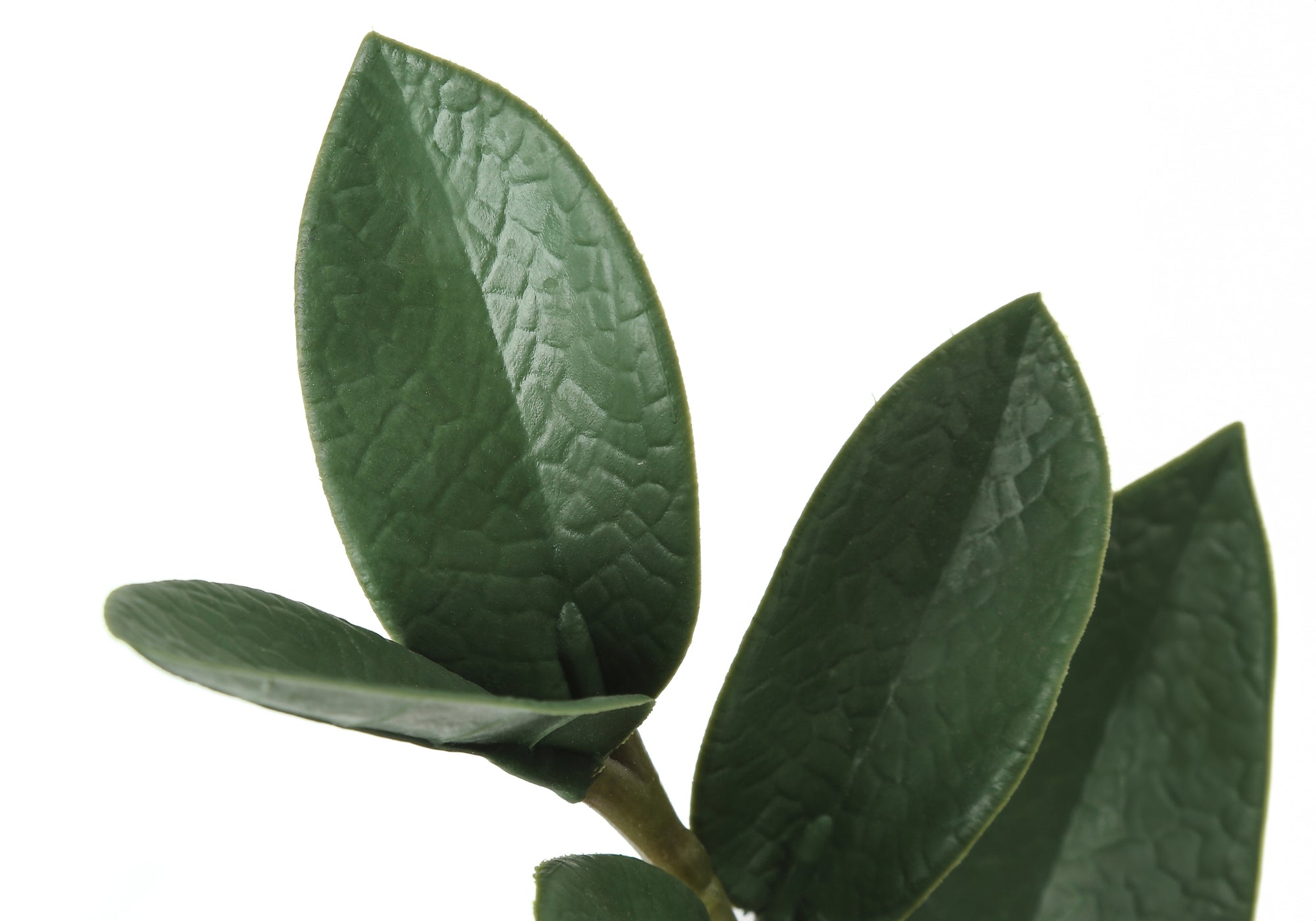 Close-up of the textured, dark green leaves of an artificial ZZ plant against a plain white background.