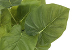 Close-up of large, heart-shaped green leaves with visible veins from an artificial Alocasia plant.