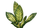 Close-up of an artificial Dieffenbachia plant featuring large, variegated green and cream-colored leaves.