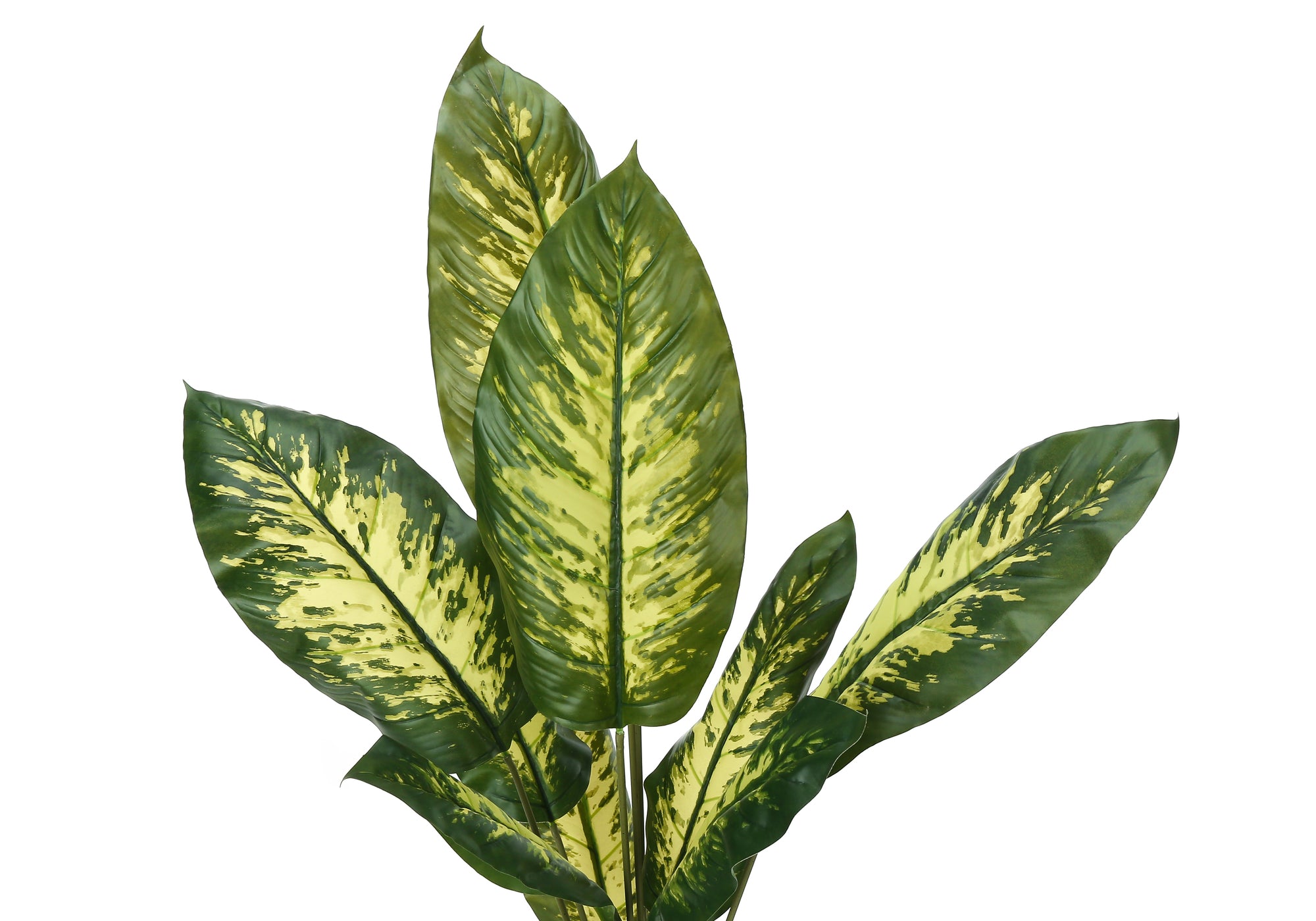 Close-up of an artificial Dieffenbachia plant featuring large, variegated green and cream-colored leaves.